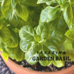 Frozen basil