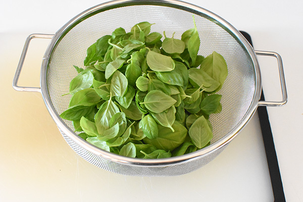 Basil in colander