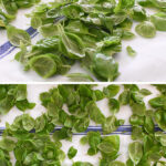 Freezing-Basil-Herbs