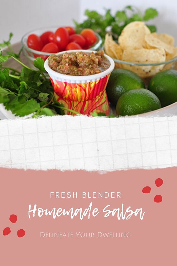 Fresh Homemade Blender Salsa