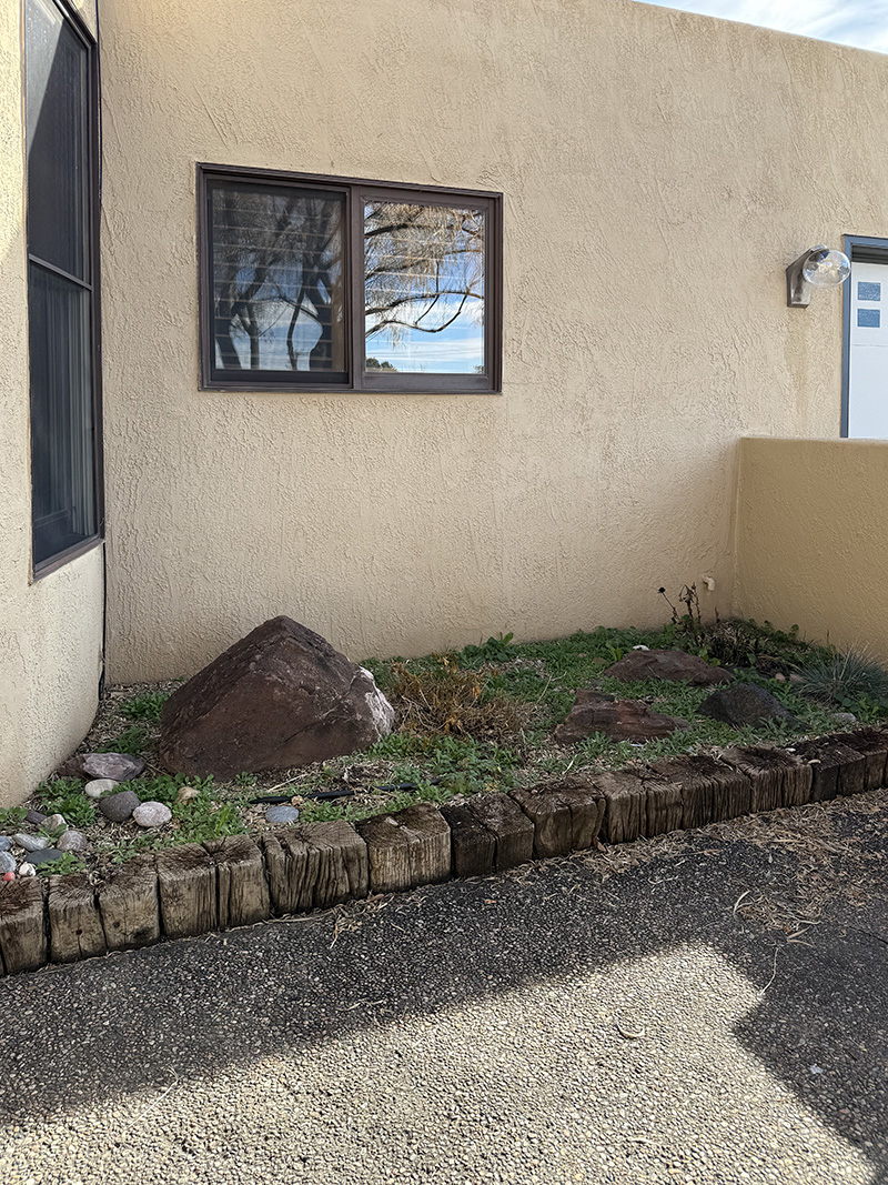 Weedy BEFORE picture of unused garden space in a courtyard