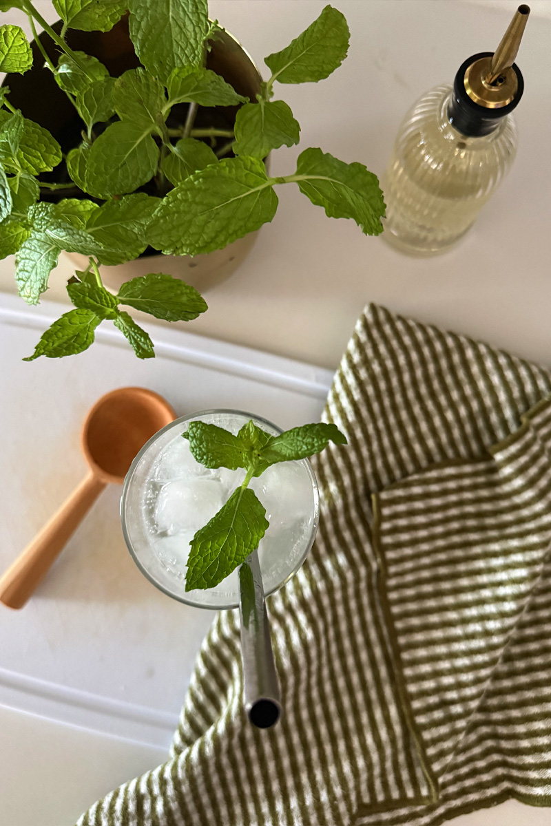 Mint, Drinking Glass, green and white check cloth napkin