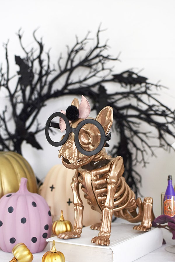 Cutest Halloween Gold French Bull Dog Skeleton