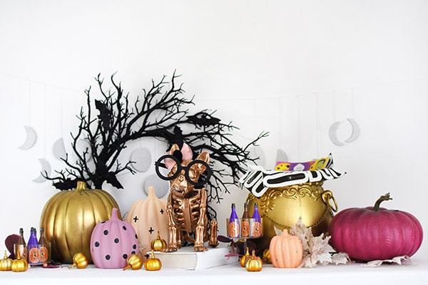 Gold French Bull Dog Skeleton with Pastel Pumpkins