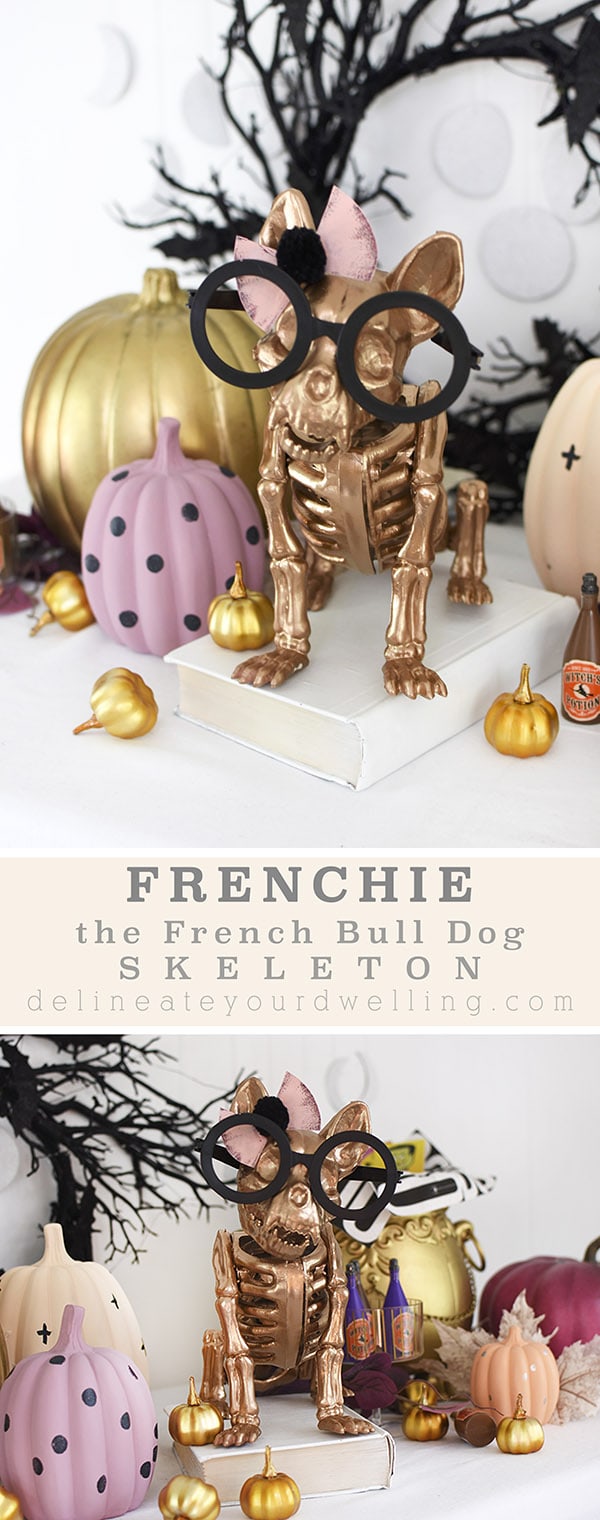 Halloween Gold French Bull Dog Skeleton with black rimmed glasses and pastel pumpkins