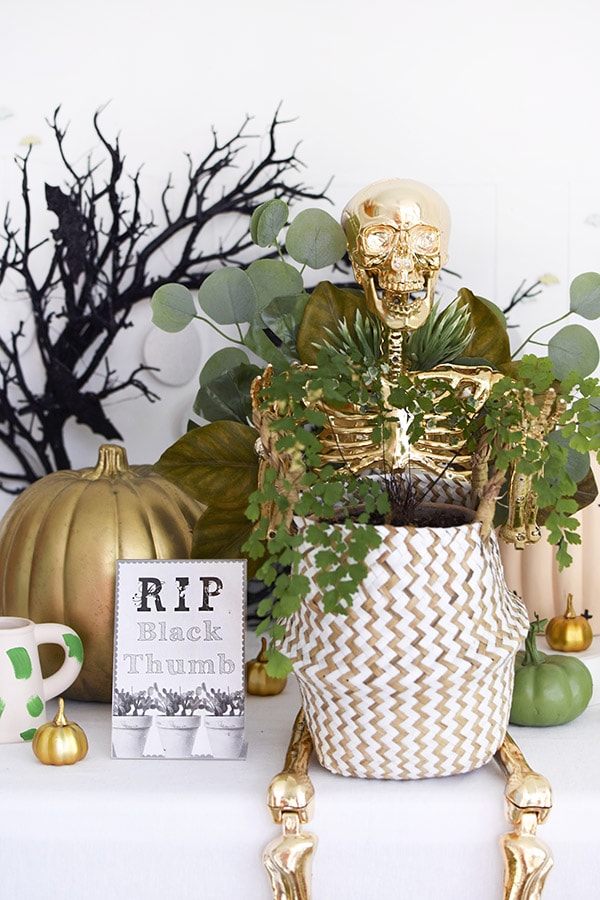 Golden Plant Lady Skeleton for Halloween