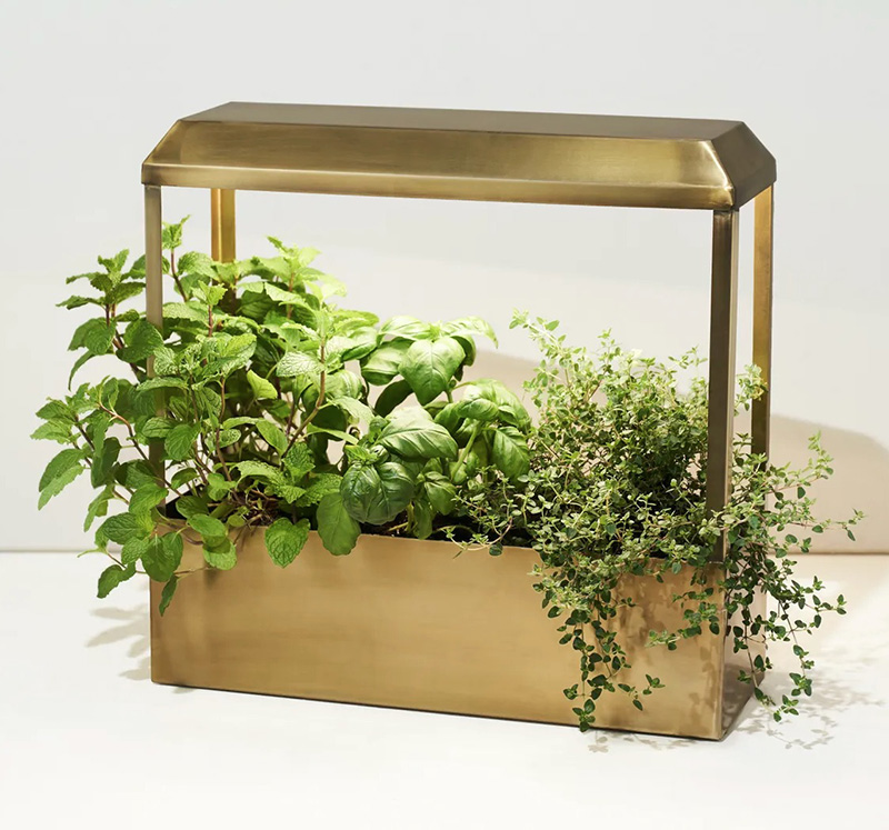Gold herb garden box