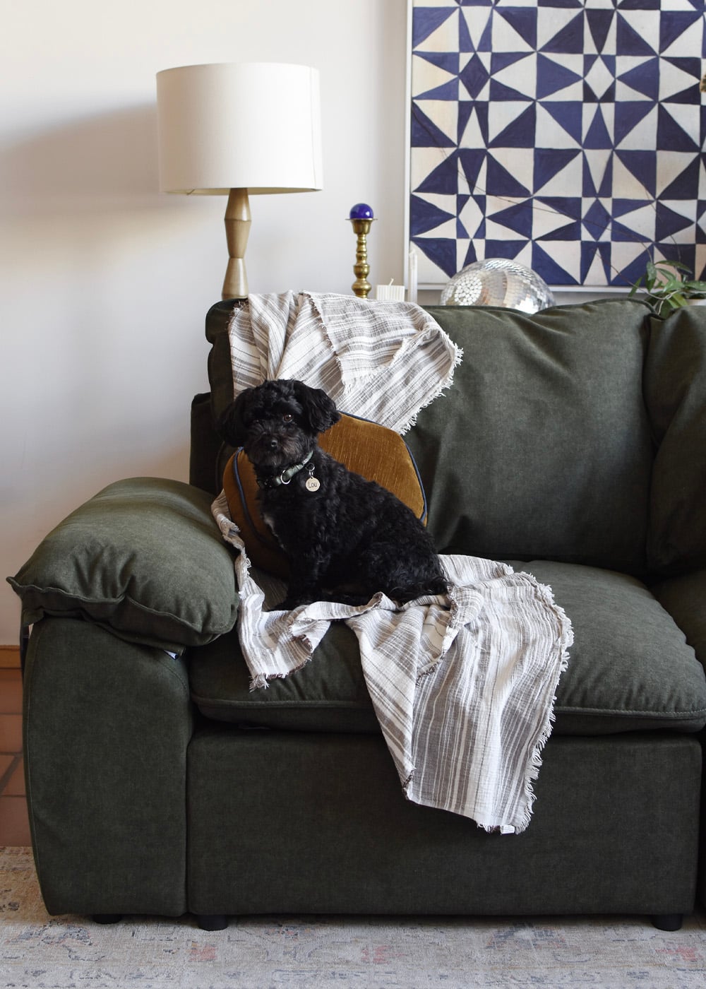 Green Soma sofa in performance material with dog sitting on it