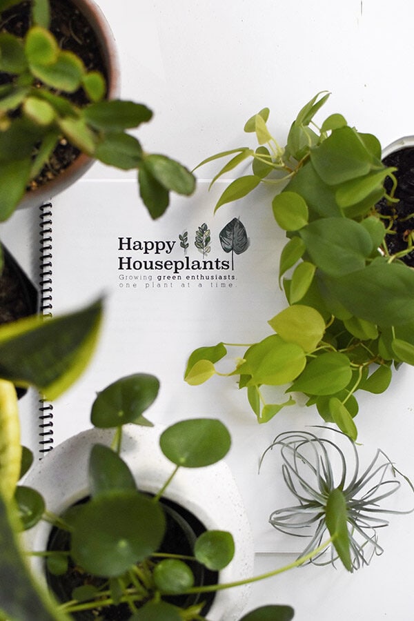 Happy Houseplants ebook