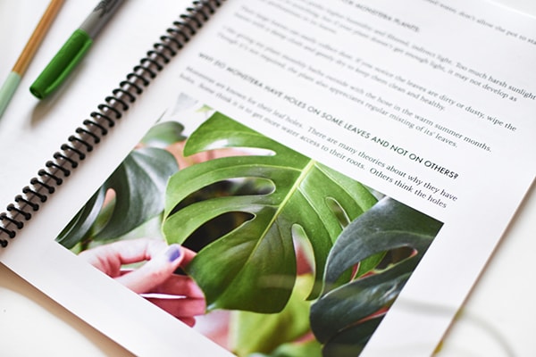 Monstera Leaf Happy Houseplants ebook