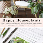 Happy Houseplants Tips