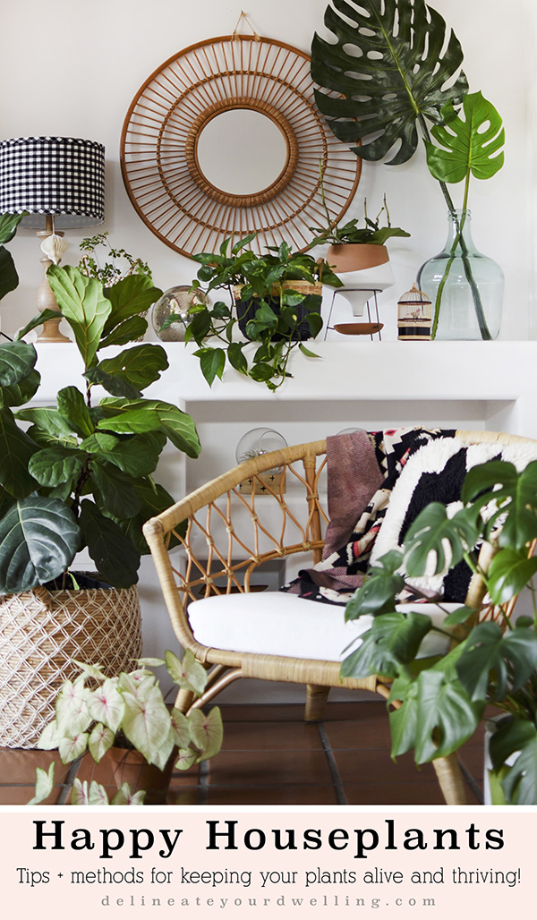 Happy Houseplants Tips