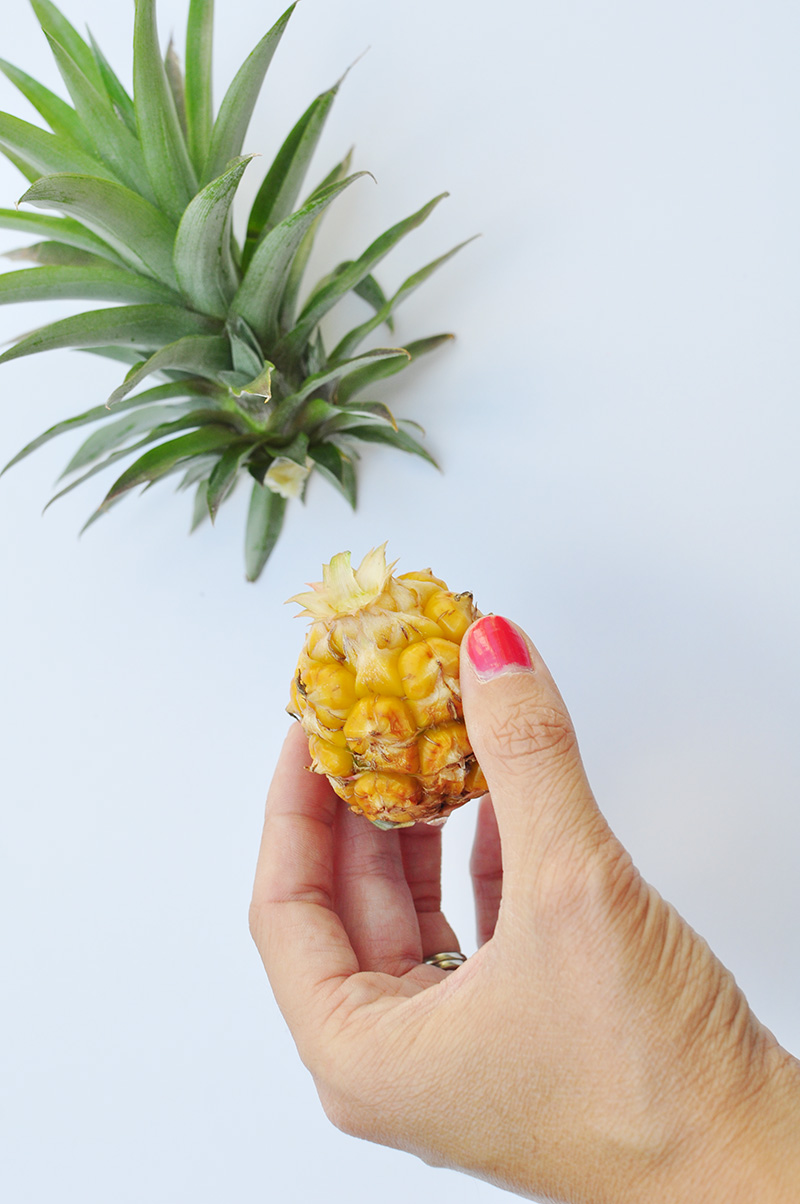 Twist the pineapple fruit from it's top