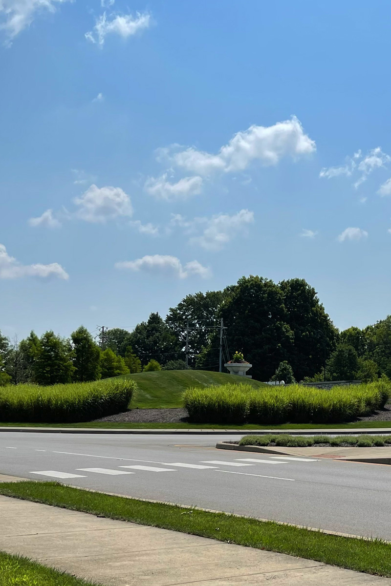 Green roundabout