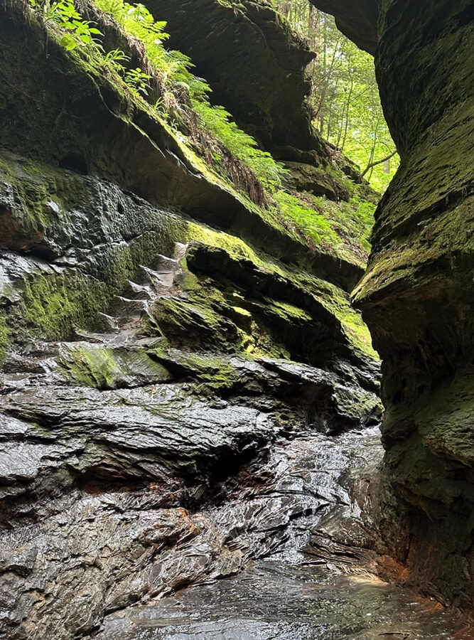 Turkey Run trail 3, Indiana