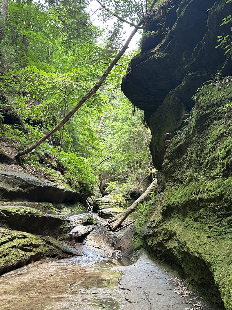 Turkey Run State Park, trail 3