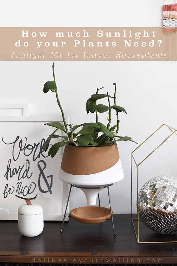 Indoor HousePlant Lighting Needs