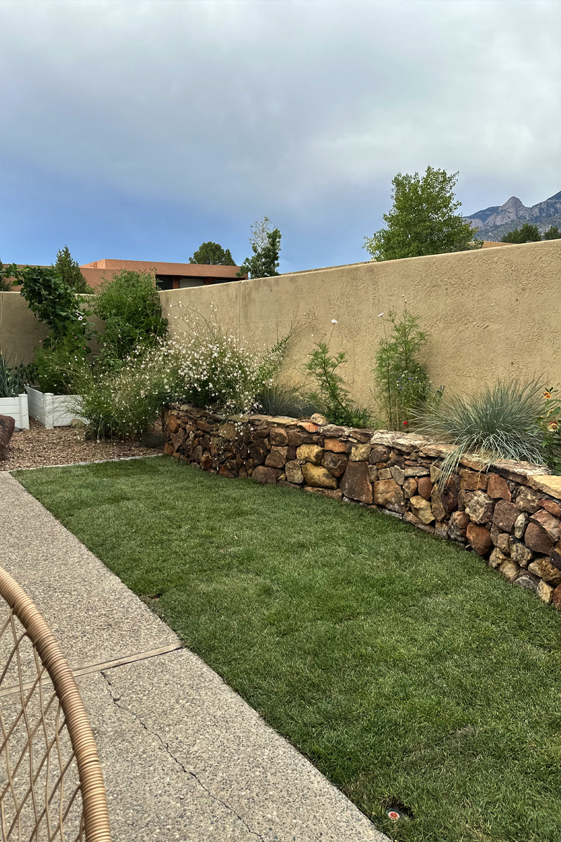 Grass Sod backyard