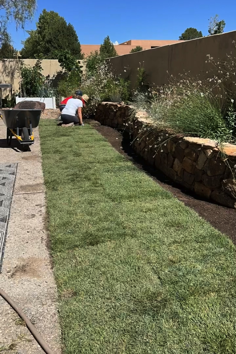 Offset each sod roll