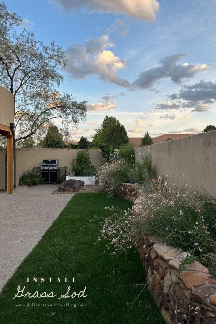 Lush green grass backyard