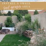 Install Sod Grass - yard grass