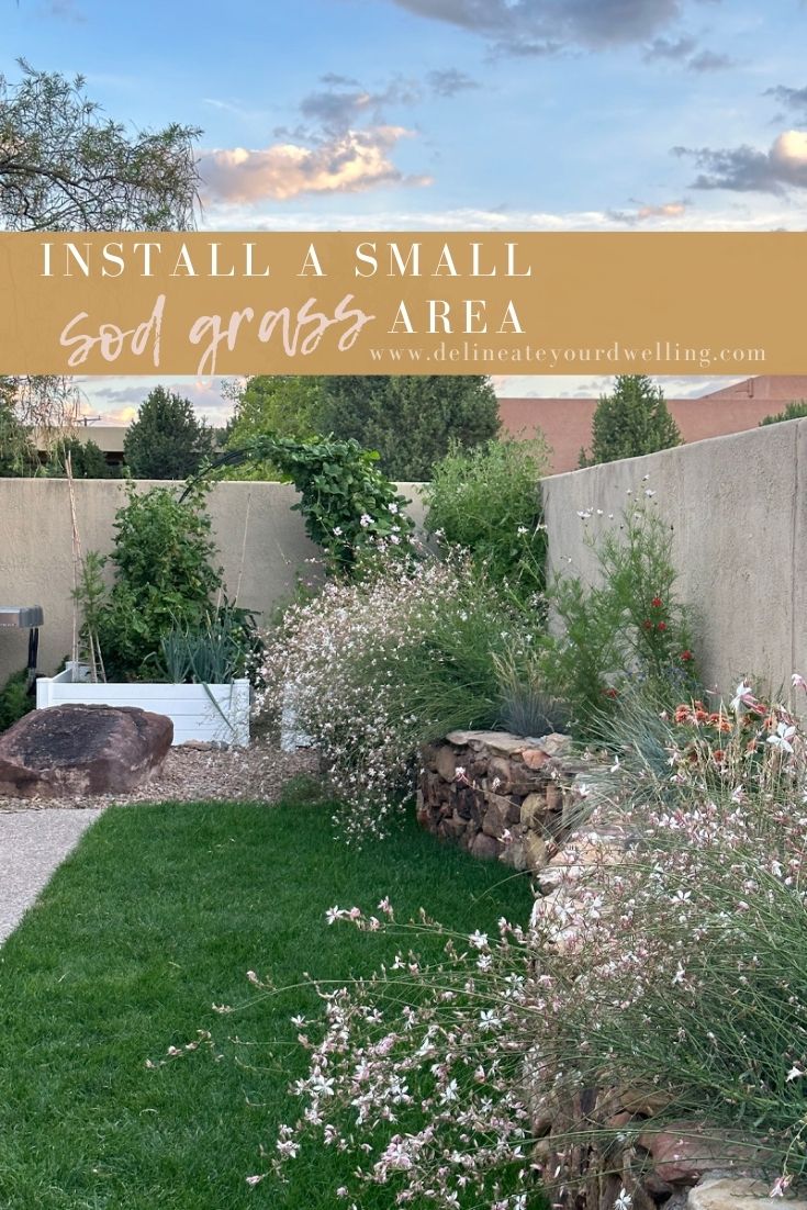 Beautiful backyard with new sod grass