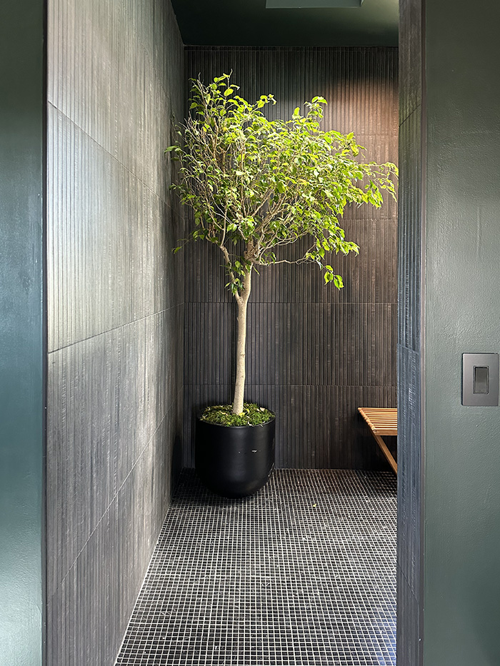 Tree in Bathroom Shower