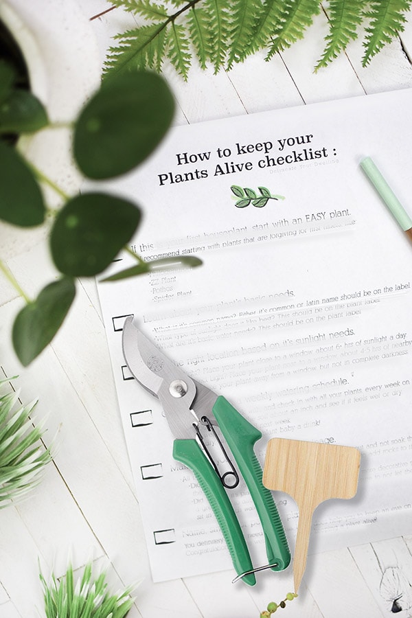 Keep Plants Alive checklist