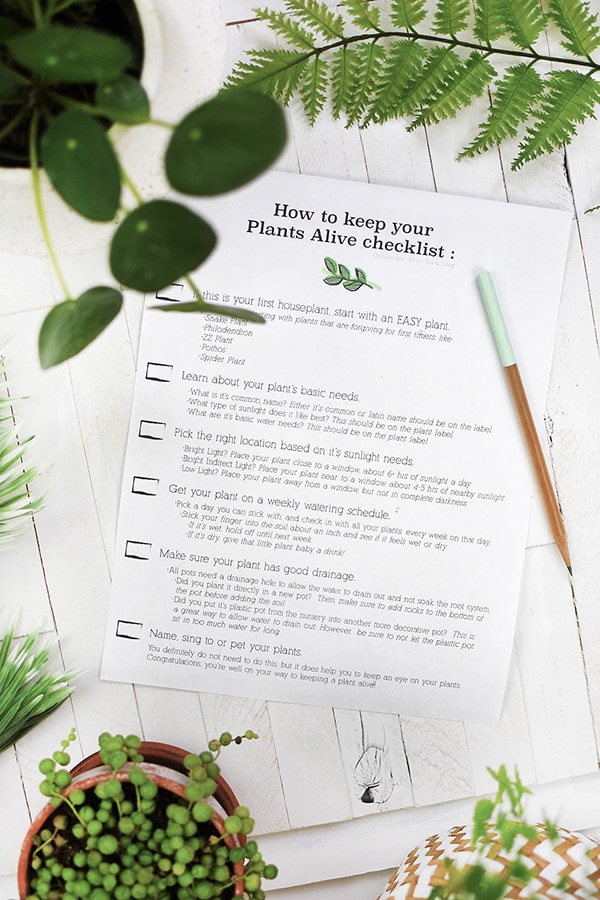 Keep your Plants Alive checklist Delineate Your Dwelling