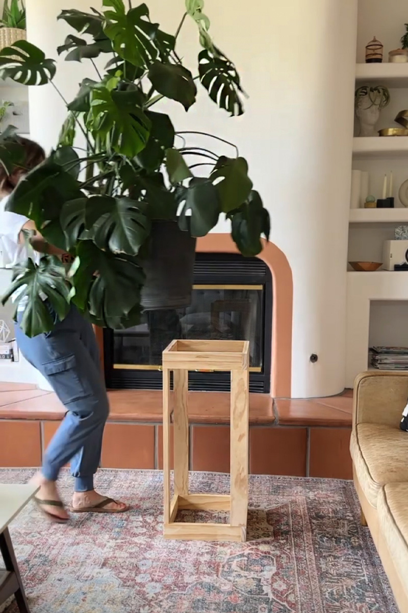 Monstera large plant stand