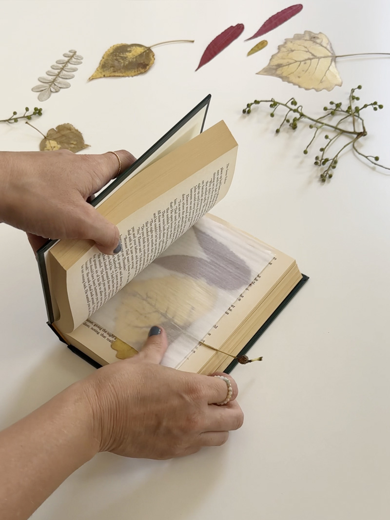 Wax paper dried leaves
