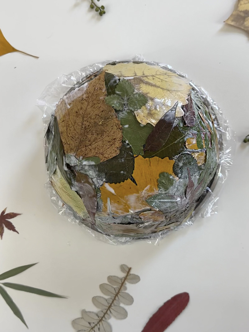 Mod podge drying leaves