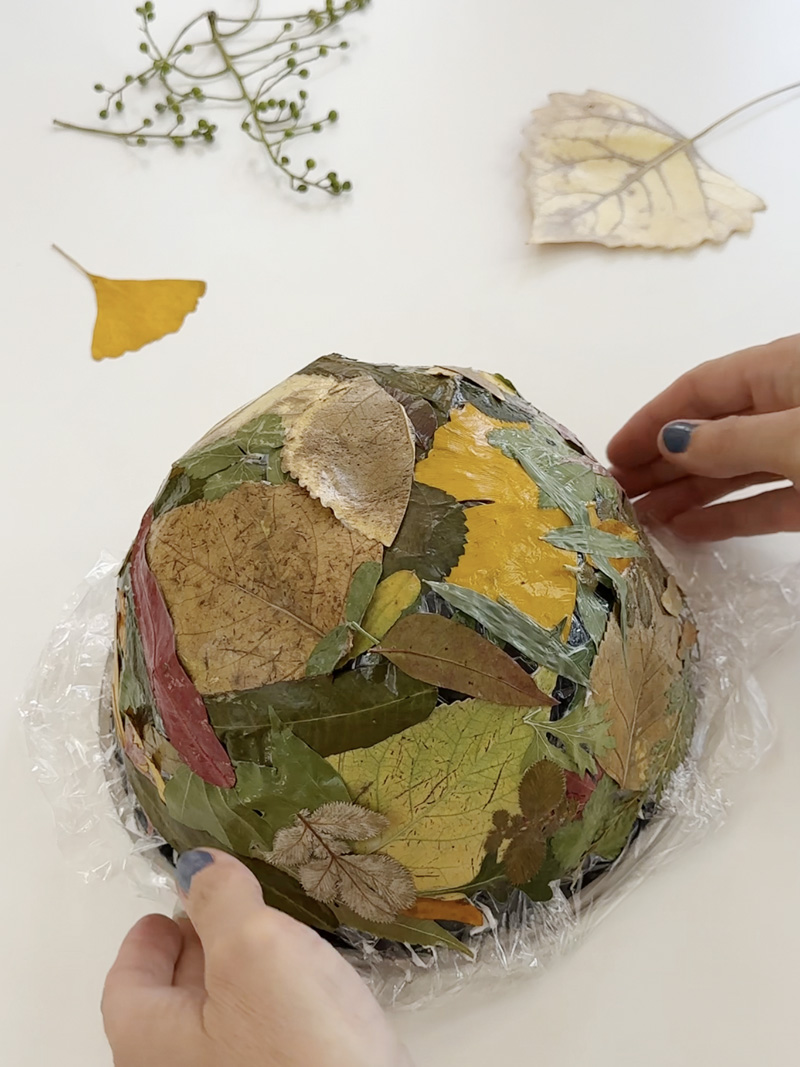Leaf Bowl dried