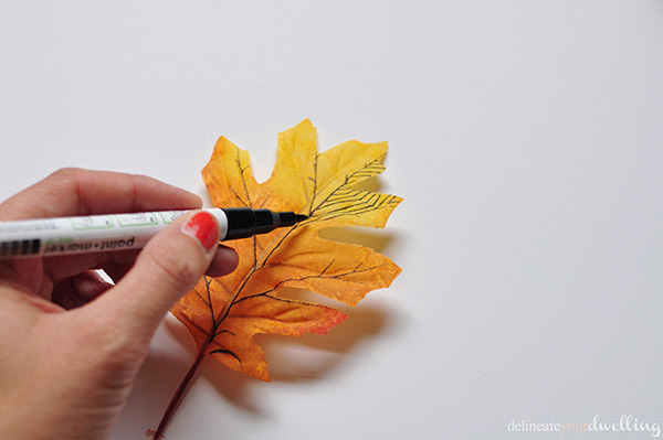 Drawing on Leaf 