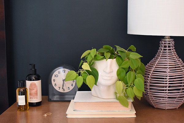 Pothos Head Vase Nightstand