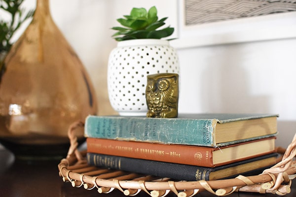 Master Bedroom Thrifted Book details