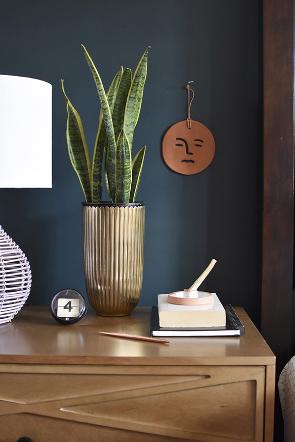 Dark painted wall with Snake plant in gold planter