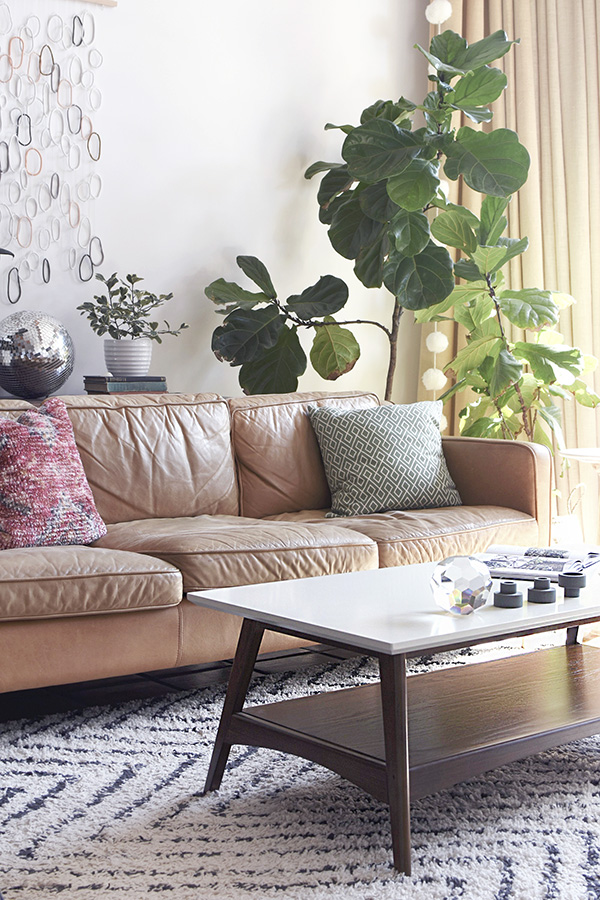 Sofa with plants