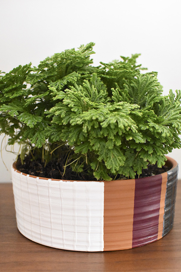 Modern Puff Paint Plant Pots - Delineate Your Dwelling