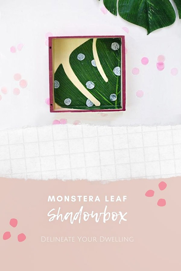 DIY Monstera Leaf Shadowbox