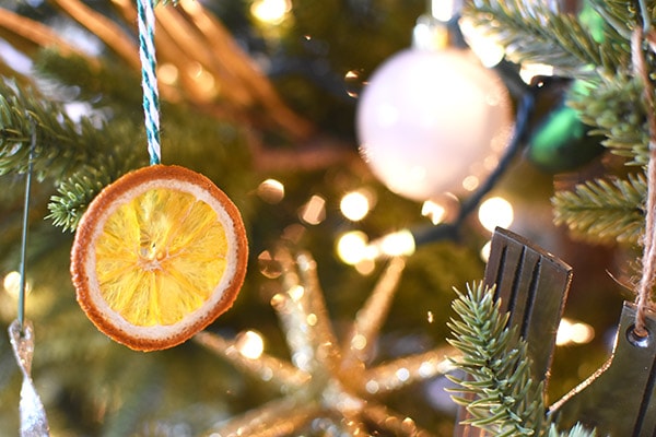 Orange Slices on a Tree