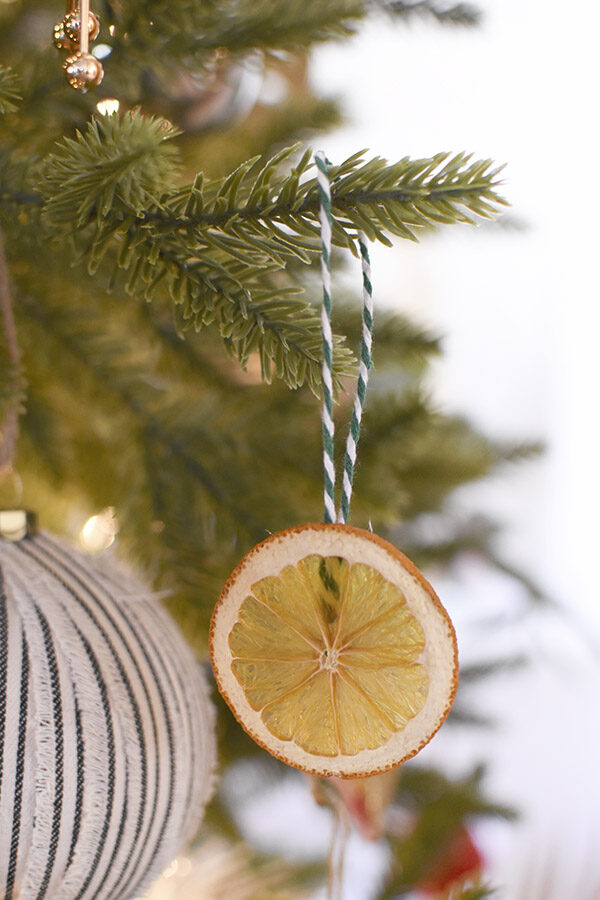 Orange Slice Holiday Decoration