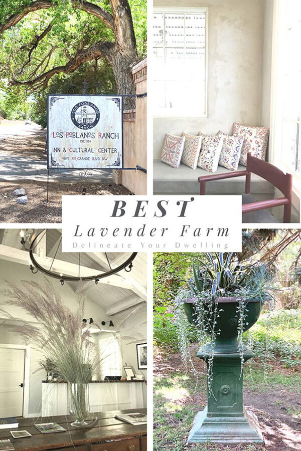 Los Poblanos Lavender Farm