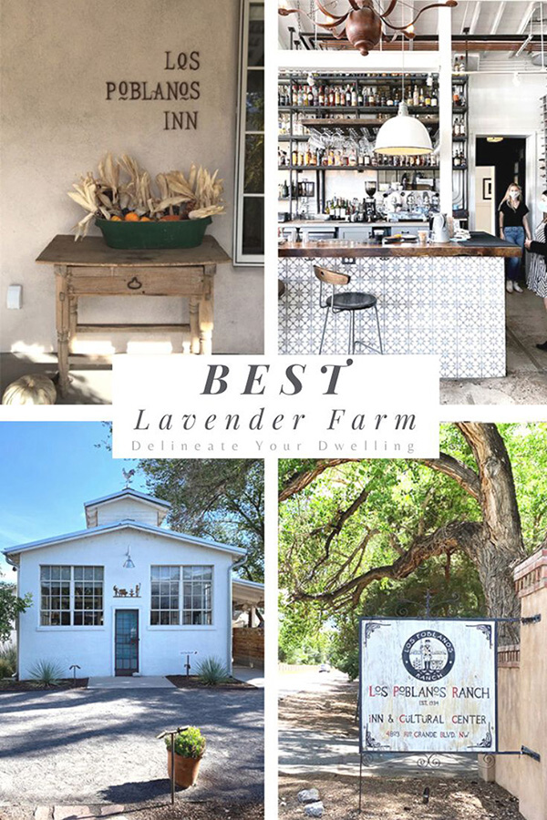 Los Poblanos Lavender Farm