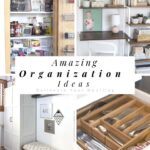 Organization