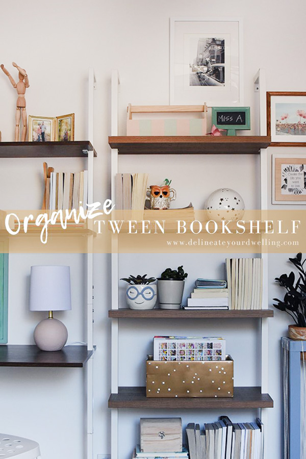 Organized Bookshelf system