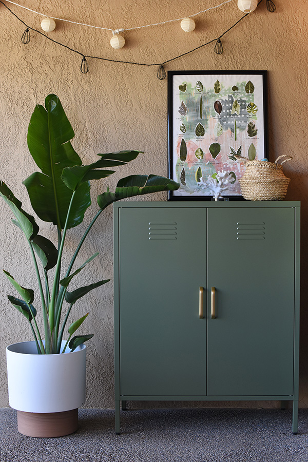 Outdoor-Toy-Storage-Locker