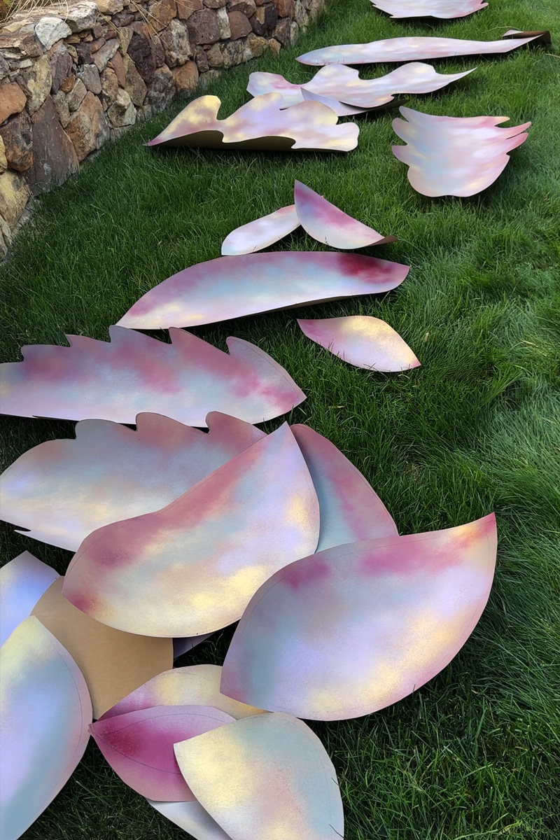 Large oversized leaves laying in grass
