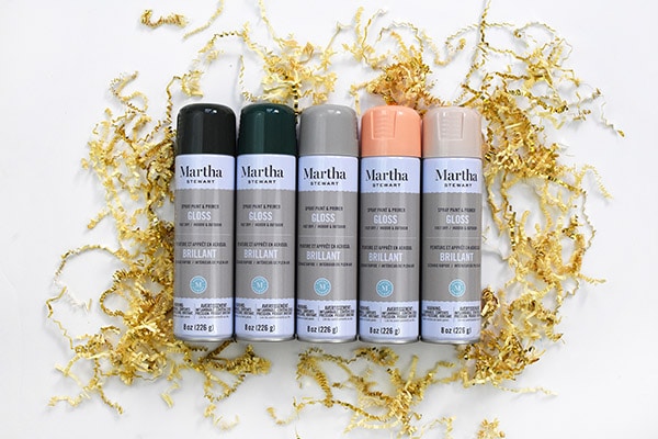 Martha Stewart Spray Paints