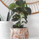 Painted Fringe Leather Planter Pot